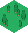 grass_13