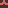 tile_0009