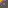 tile_0021