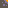 tile_0033