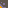 tile_0036
