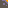 tile_0022