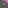 tile_0029