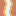 tile_0091