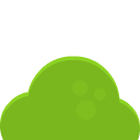 bush