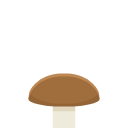 mushroomBrown
