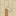 tile_0781