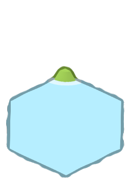 grass_waterConvex_N