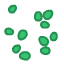 tile_213