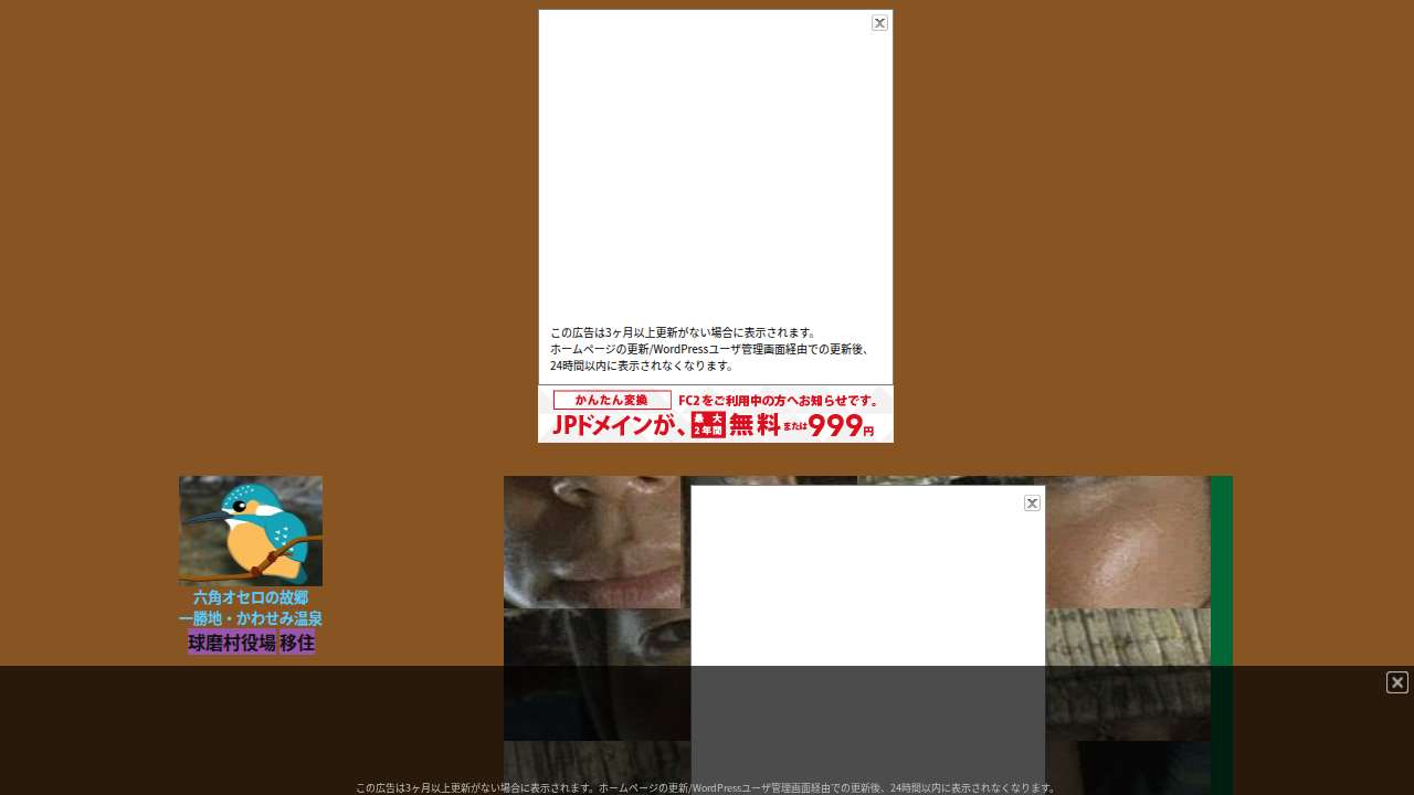 木枯し紋次郎・スライドパズル