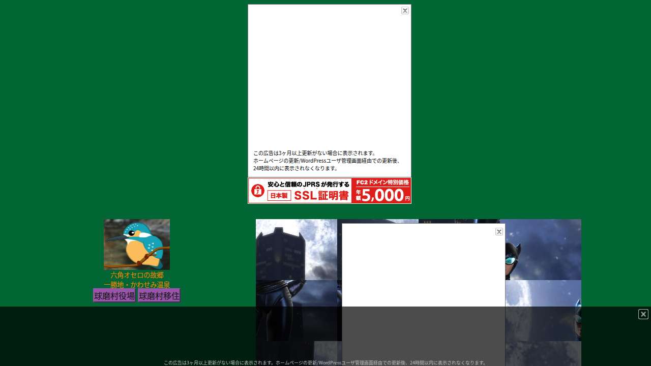 ＜バットマン＞　キャットウーマンのスライドパズル　その３
